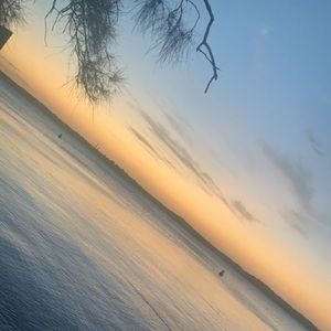 Meet your Posher, Phoebe